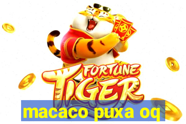 macaco puxa oq